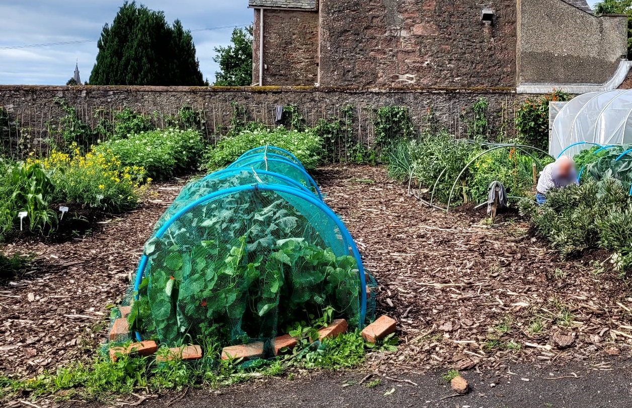 Rattray Community Garden